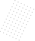 shaalxotic.com